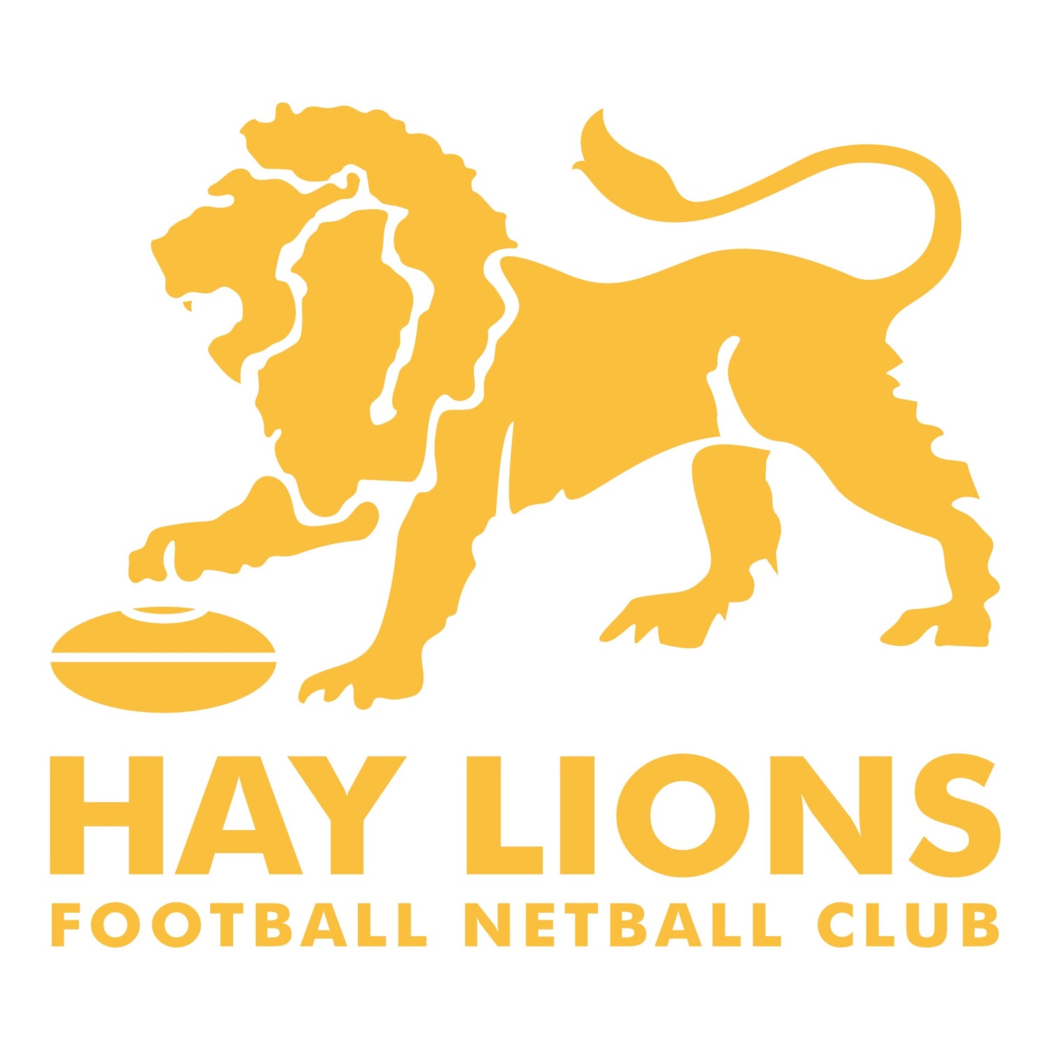 Hay Lions Football Netball Club